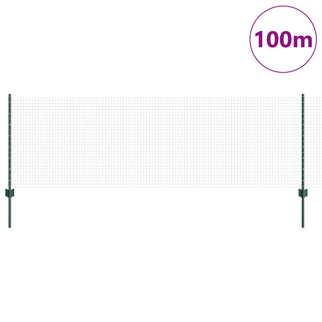 Hek Met Paal 0,8 X 100 M Staal En Pvc Groen 100 x 0,8 m hek (2,5 x 2,5 cm gaas)