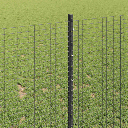 Hek En Paal Grijs 1 X 25 M Staal Grijs