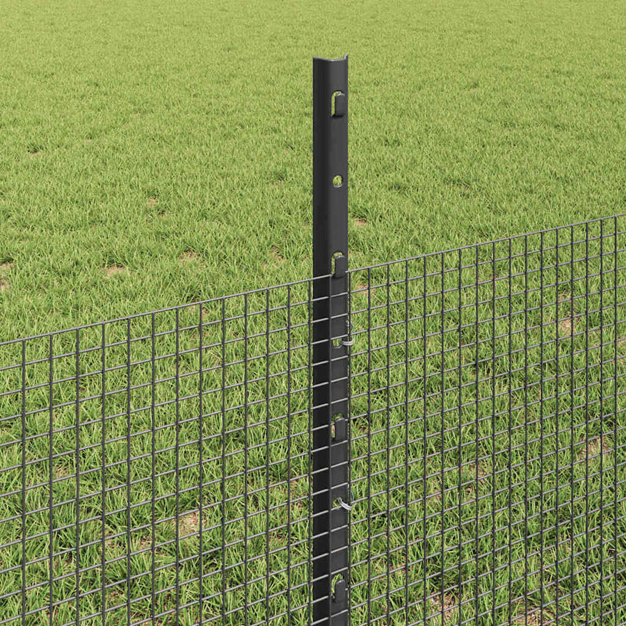 Hek met Paal Grijs 0,5 x 50 m Staal en PVC