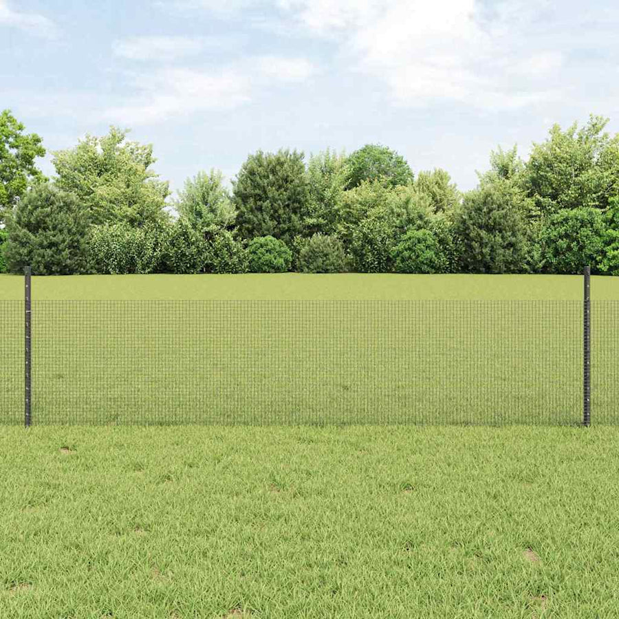 Hek met Paal Grijs 0,5 x 50 m Staal en PVC