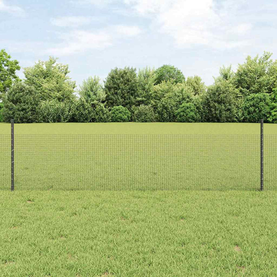 Hek met Paal Grijs 0,5 x 50 m Staal en PVC