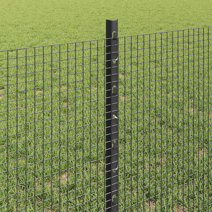 Hek met Paal Grijs 0,6 x 50 m Staal en PVC