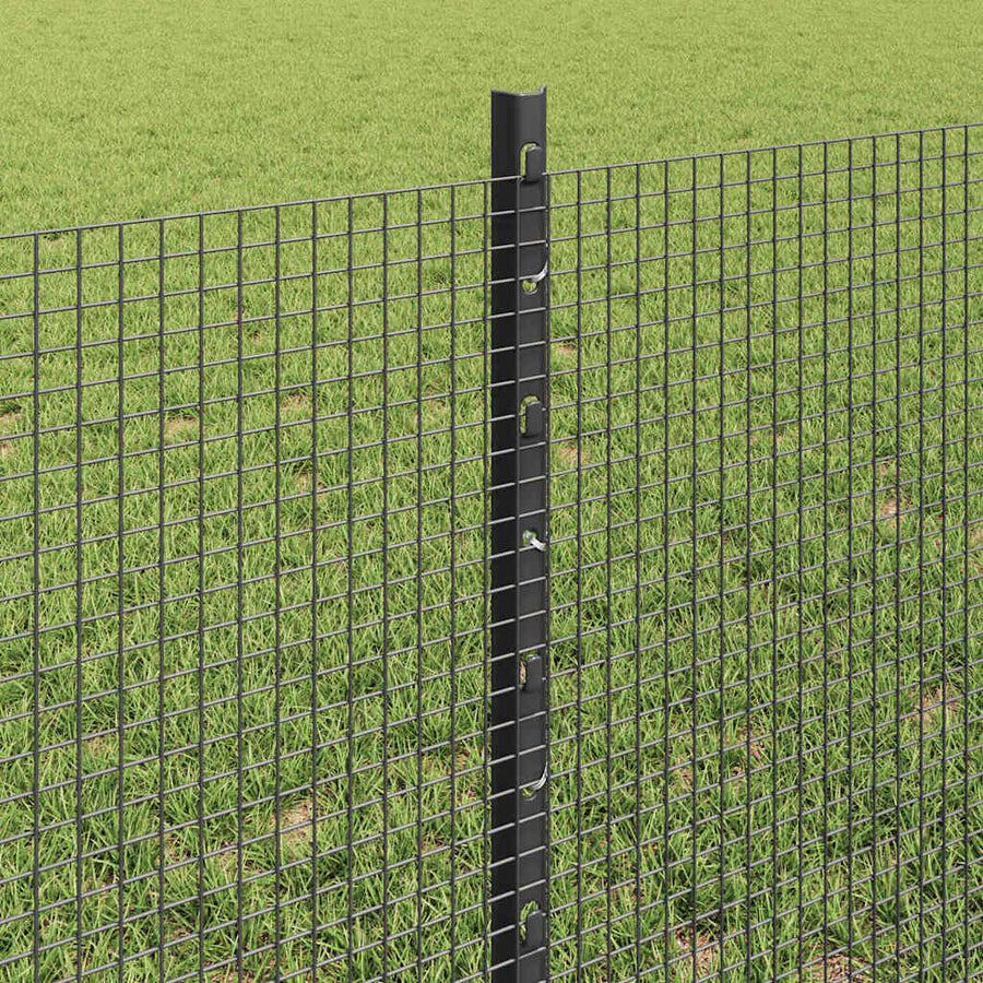Hek met Paal Grijs 0,6 x 50 m Staal en PVC