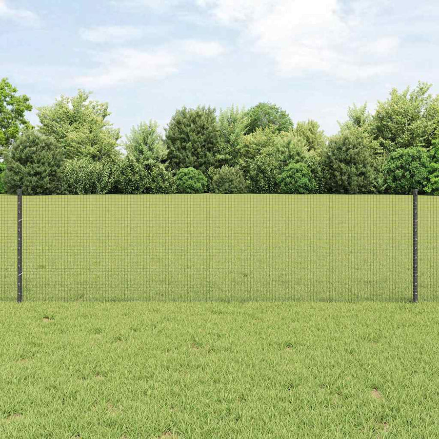 Hek met Paal Grijs 0,6 x 50 m Staal en PVC