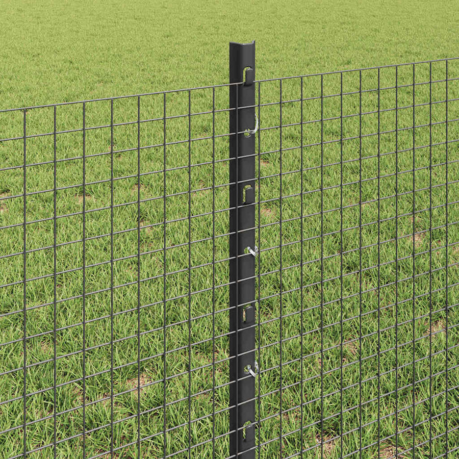 Hek met Paal Grijs 0,6 x 50 m Staal en PVC