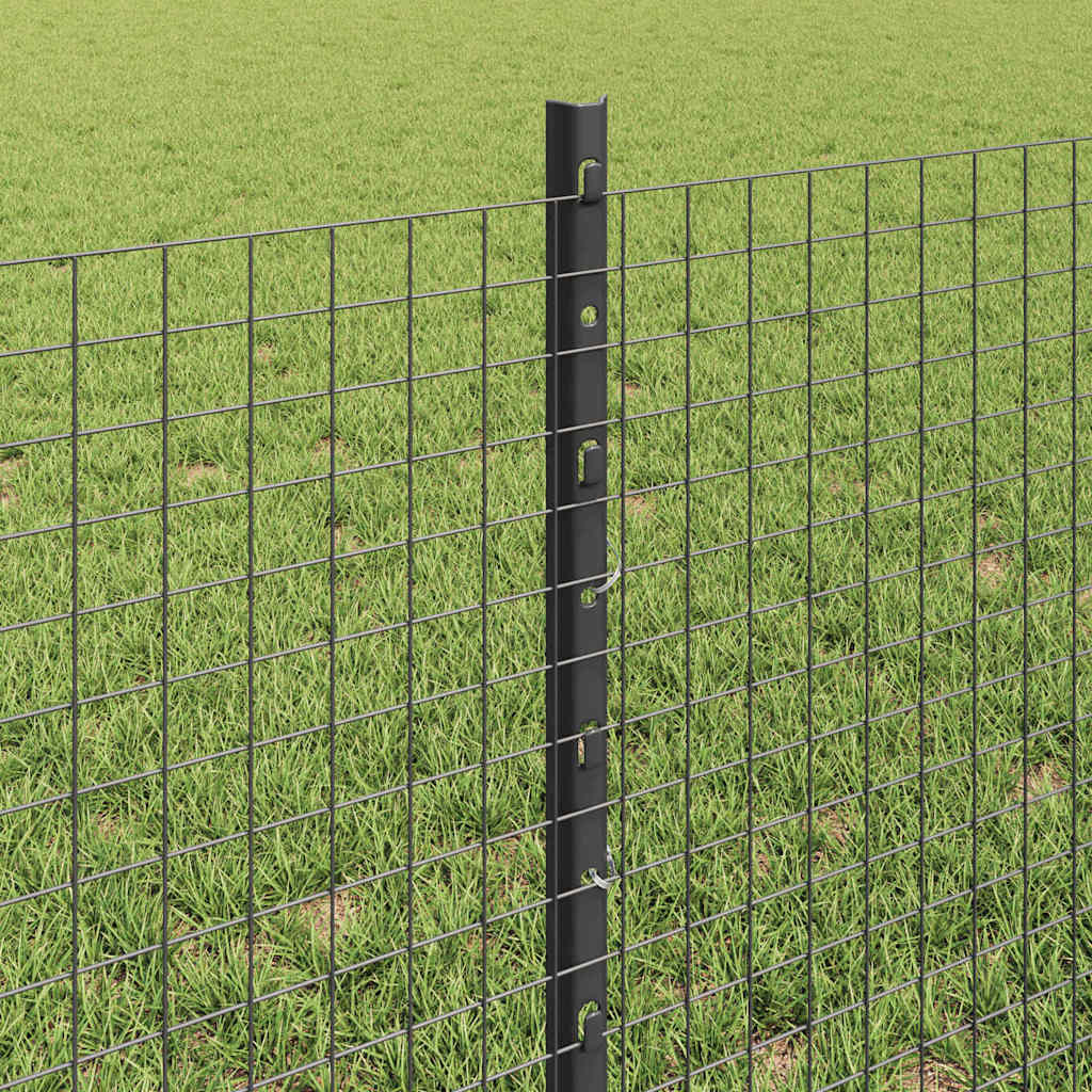 Hek met Paal Grijs 0,6 x 50 m Staal en PVC