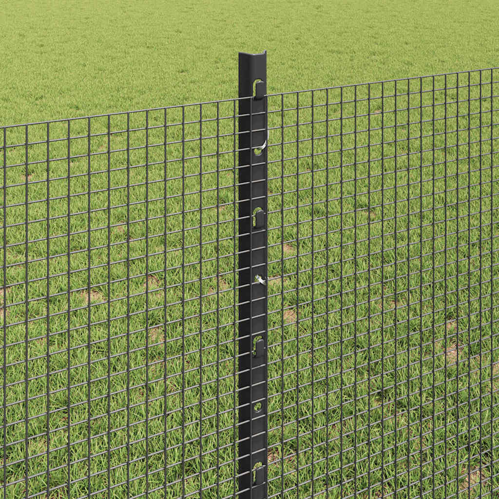 Hek met Paal Grijs 0,8 x 50 m Staal en PVC