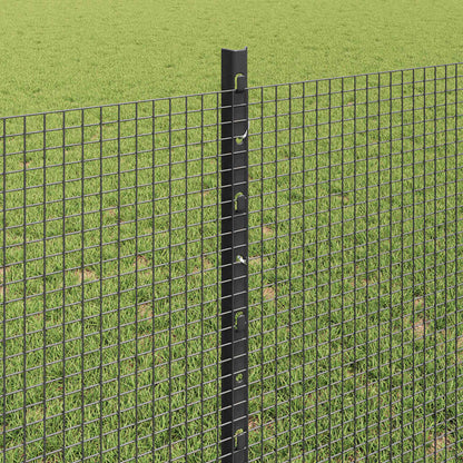 Hek met Paal Grijs 0,8 x 50 m Staal en PVC