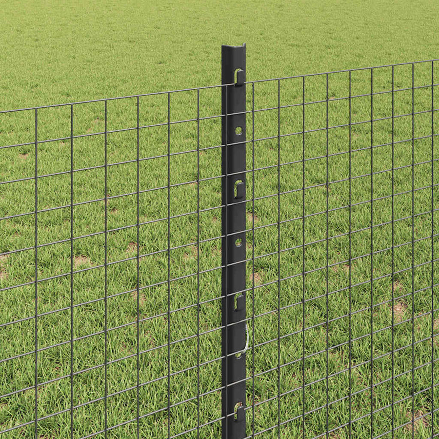 Hek met Paal Grijs 0,8 x 50 m Staal en PVC