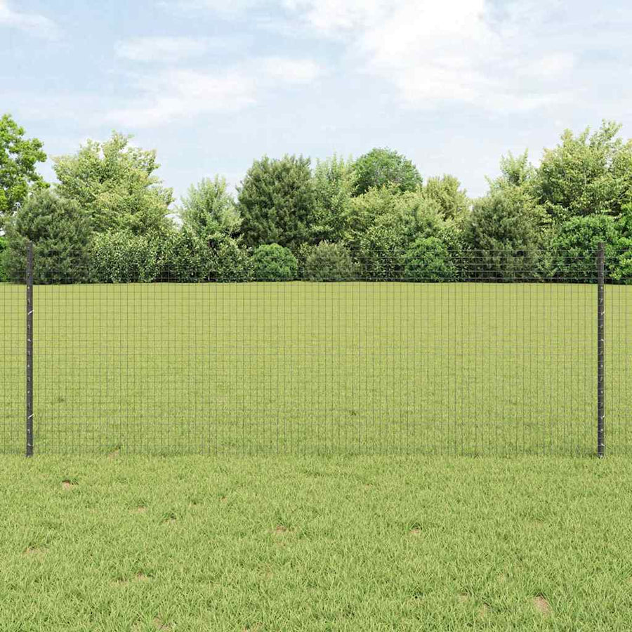 Hek met Paal Grijs 0,8 x 50 m Staal en PVC