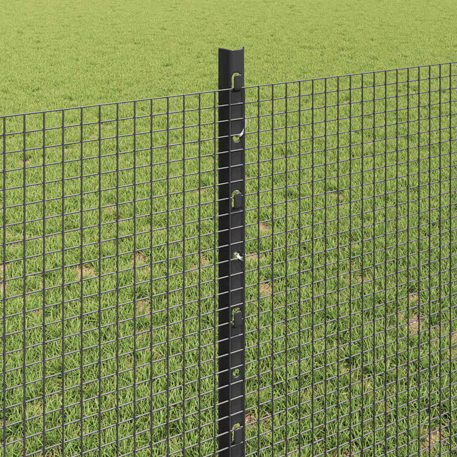 Hek met Paal Grijs 0,8 x 100 m Staal en PVC