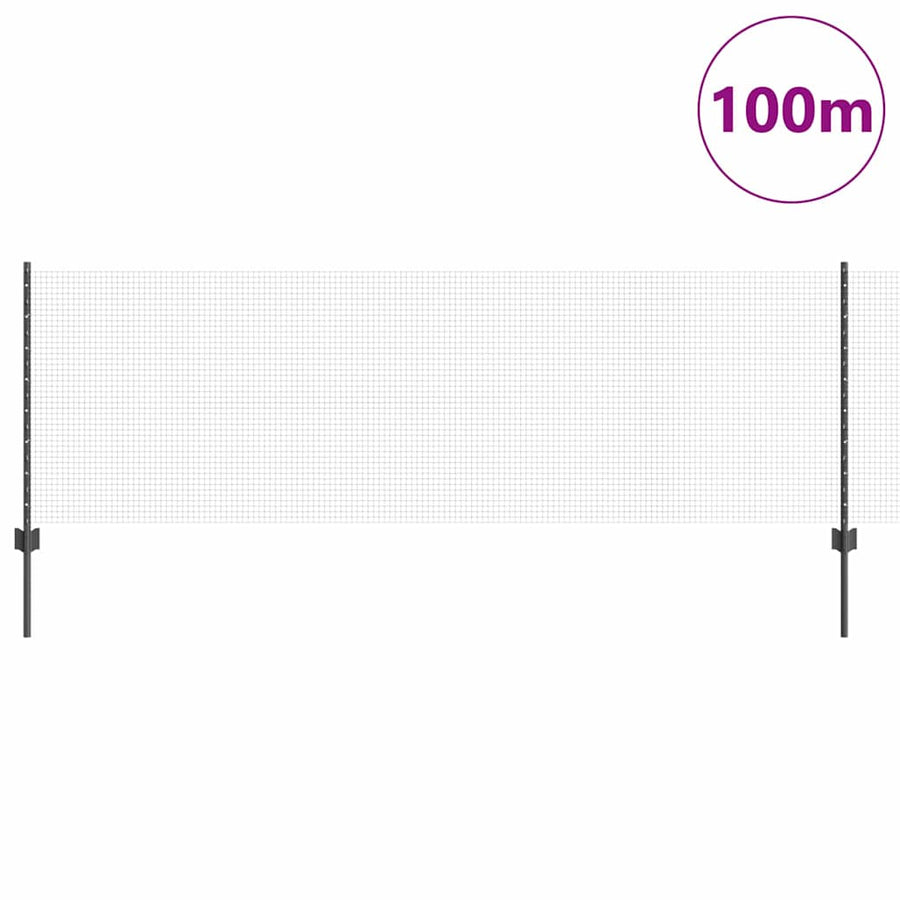 Hek met Paal Grijs 0,8 x 100 m Staal en PVC