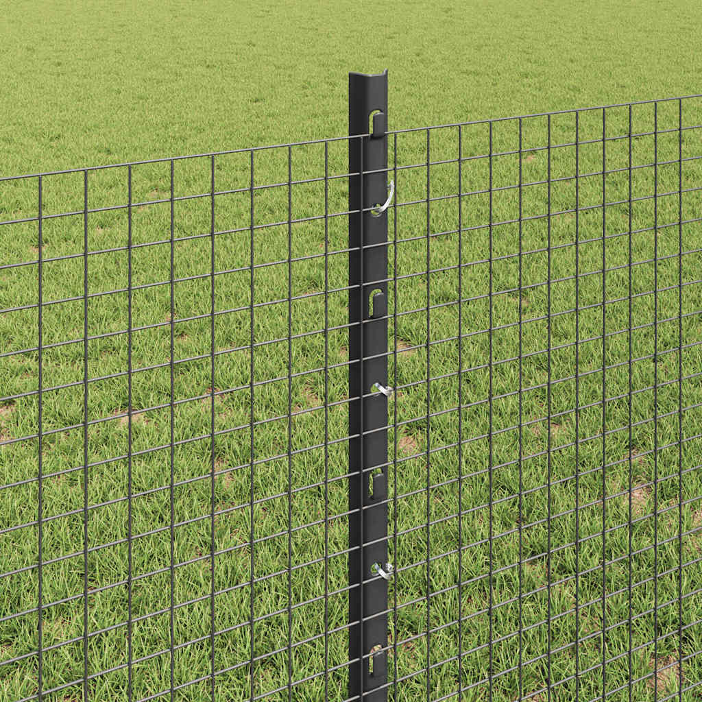 Hek met Paal Grijs 0,8 x 100 m Staal en PVC