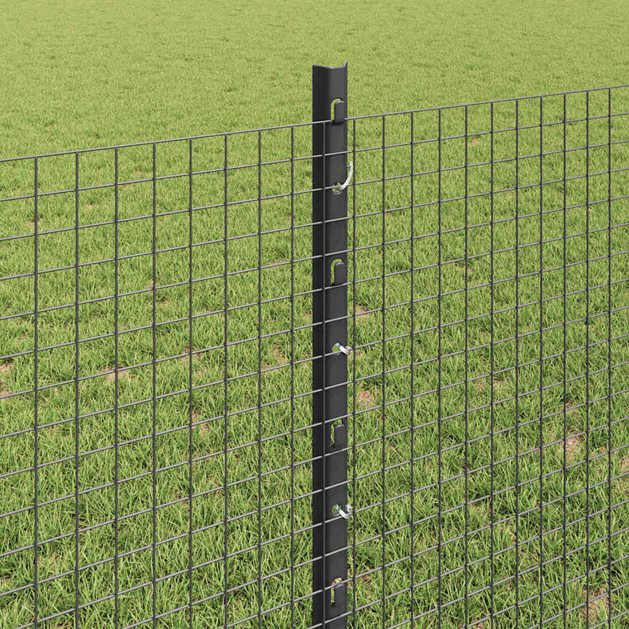 Hek met Paal Grijs 0,8 x 100 m Staal en PVC