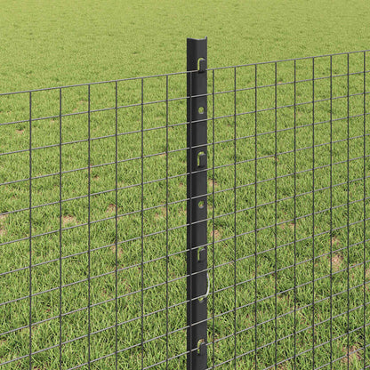 Hek met Paal Grijs 0,8 x 100 m Staal en PVC