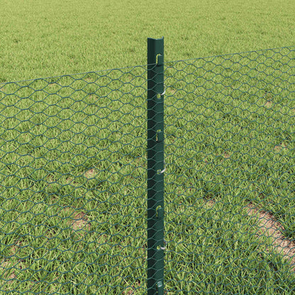 Hek met Paal Groen 0,4 x 10 m Staal en PVC