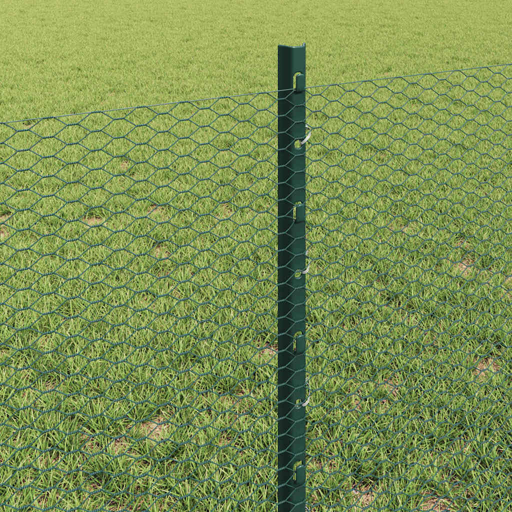 Hek met Paal Groen 0,6 x 10 m Staal en PVC