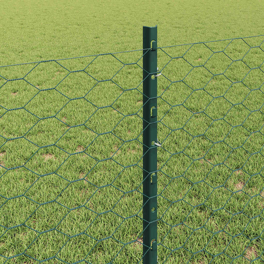 Hek met Paal Groen 0,8 x 10 m Staal en PVC