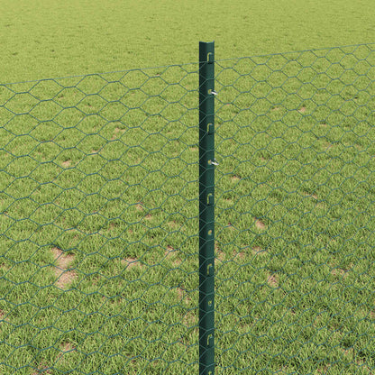 Hek met Paal Groen 1 x 10 m Staal en PVC