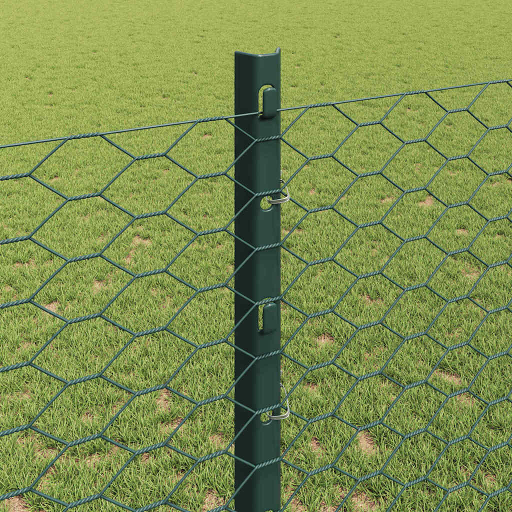 Hek met Paal Groen 1,2 x 10 m Staal en PVC