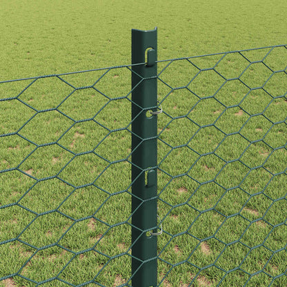 Hek met Paal Groen 1,2 x 10 m Staal en PVC