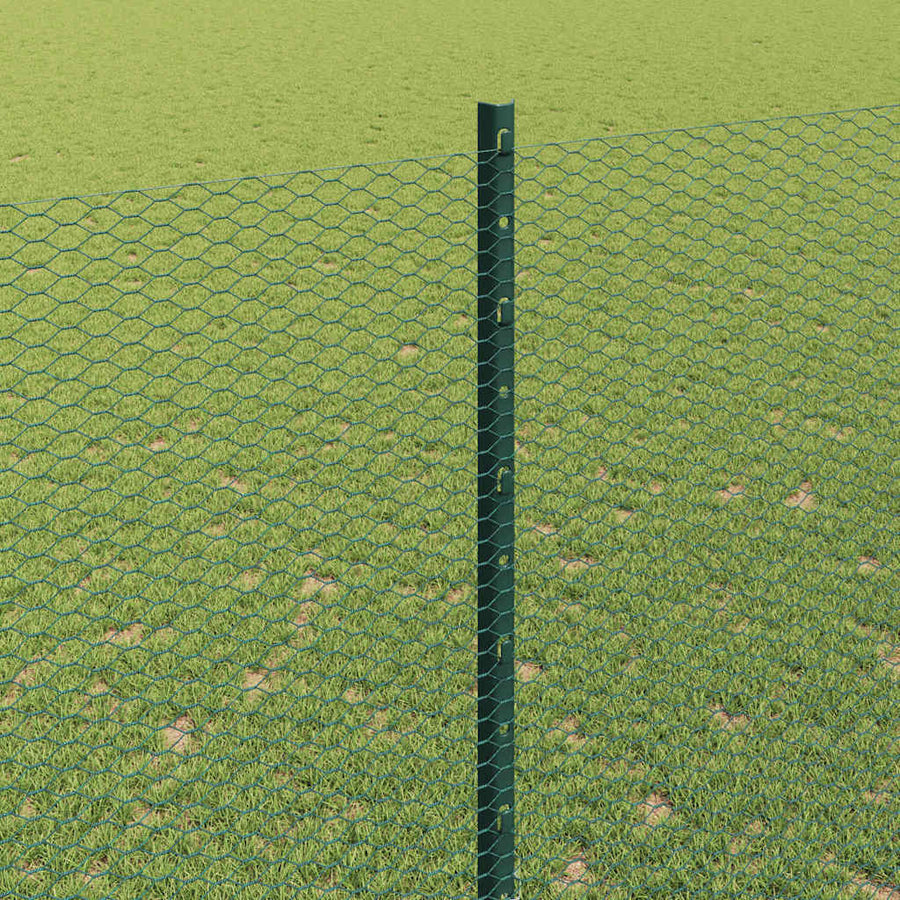 Hek met Paal Groen 1,6 x 10 m Staal en PVC
