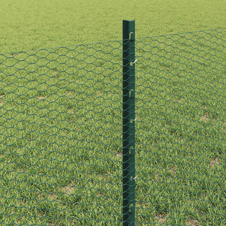 Hek met Paal Groen 0,6 x 25 m Staal en PVC