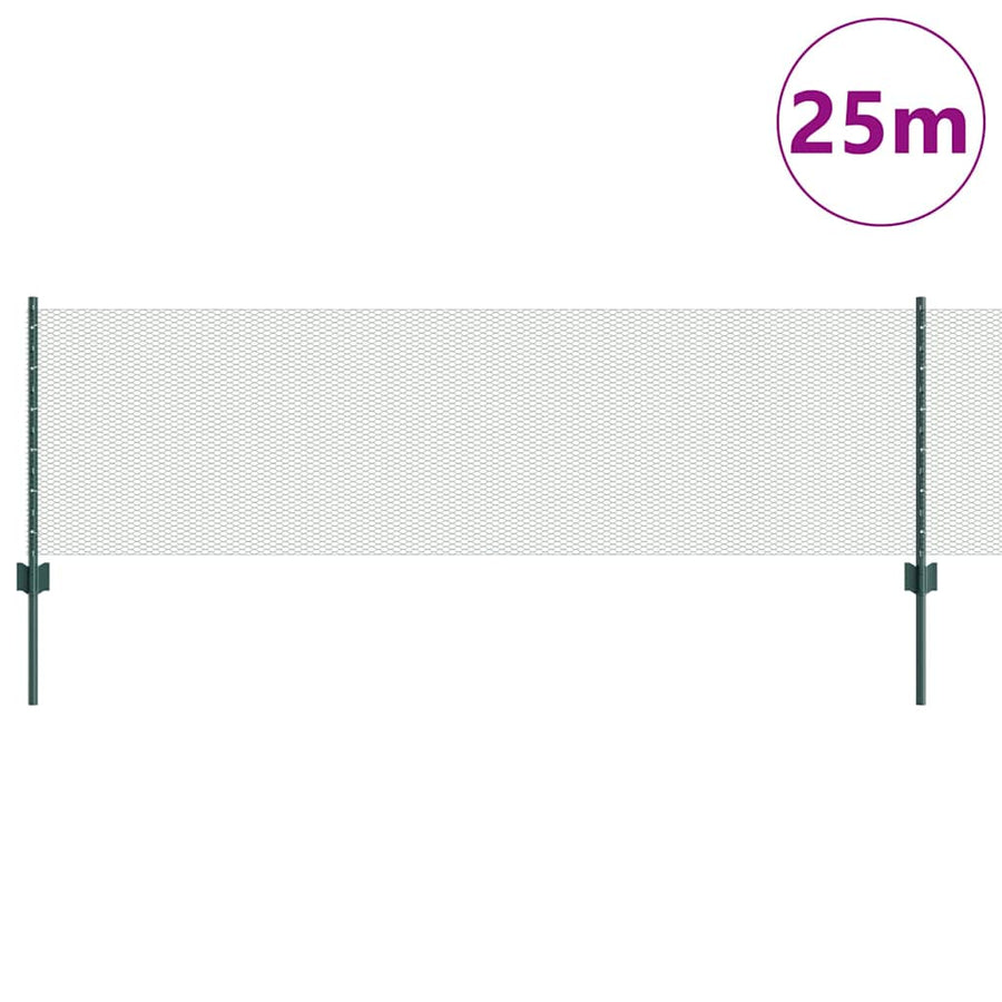Hek met Paal Groen 0,6 x 25 m Staal en PVC