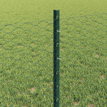Hek met Paal Groen 0,6 x 25 m Staal en PVC