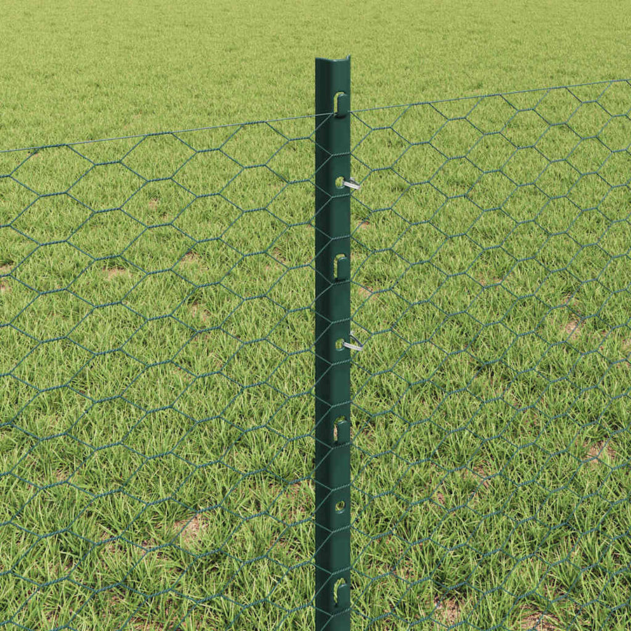 Hek met Paal Groen 0,6 x 25 m Staal en PVC