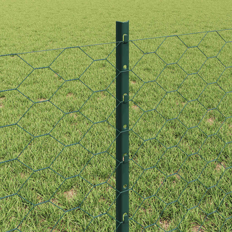 Hek met Paal Groen 0,6 x 25 m Staal en PVC