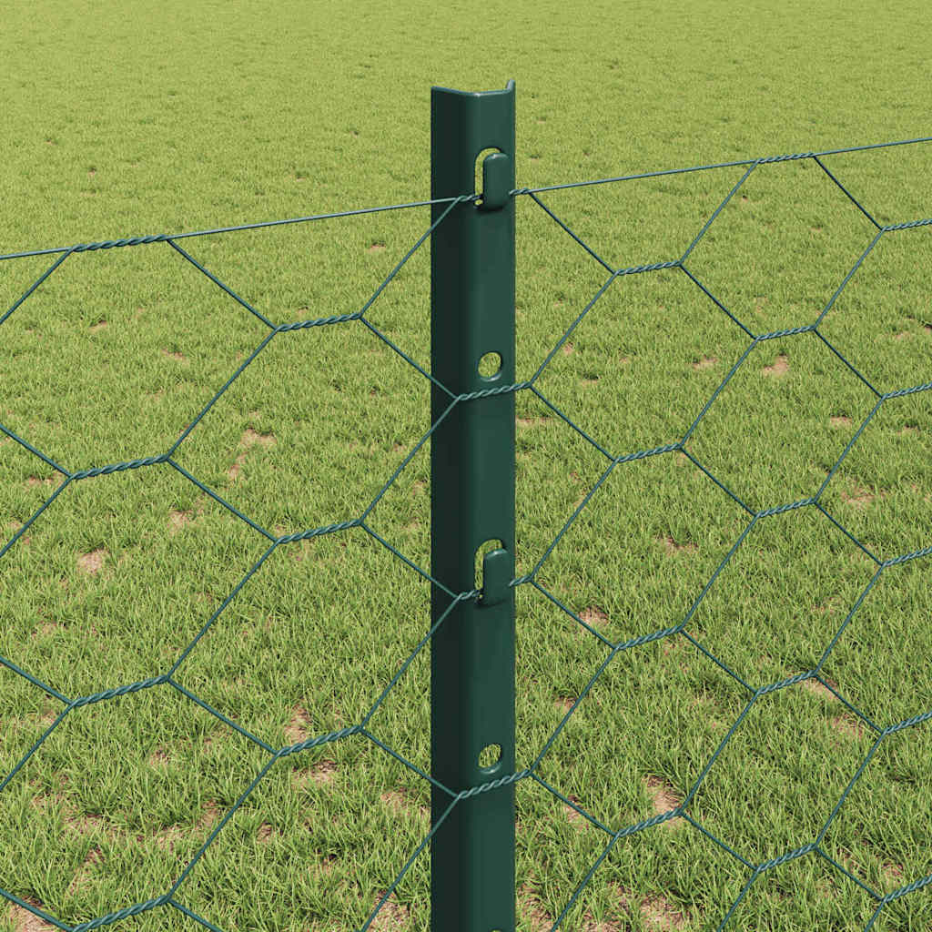 Hecke Met Palen 1.2 X 25 M Staal Groen 25 x 1.2 m hek (5 cm breed gaas)