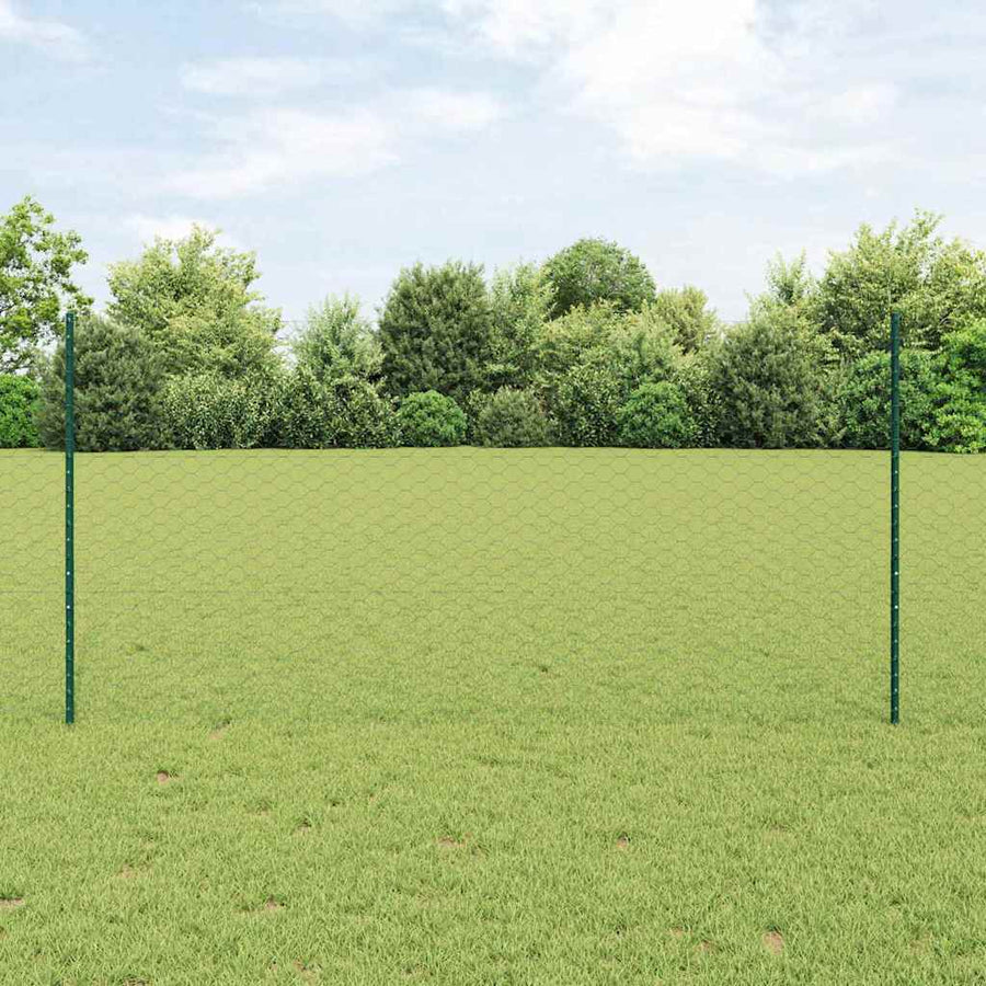 Hecke Met Palen 1.2 X 25 M Staal Groen 25 x 1.2 m hek (5 cm breed gaas)