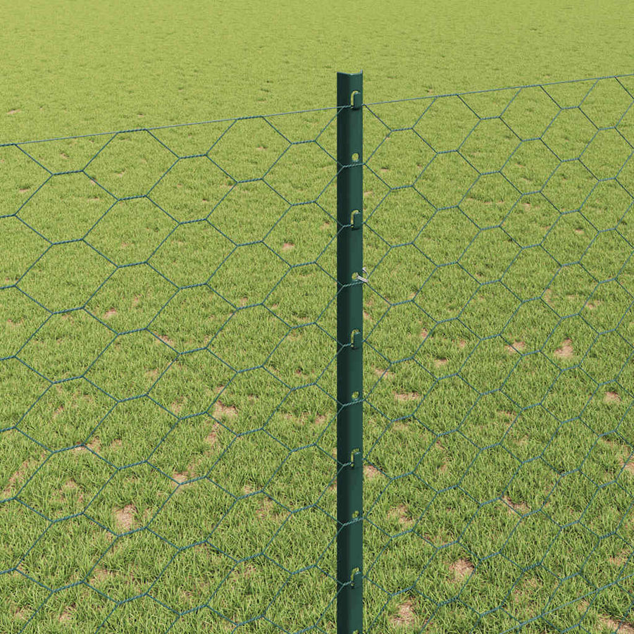 Hek Met Paal 1,5 X 25 M Staal Groen 25 x 1,5 m hek (5 cm breedte gaas)