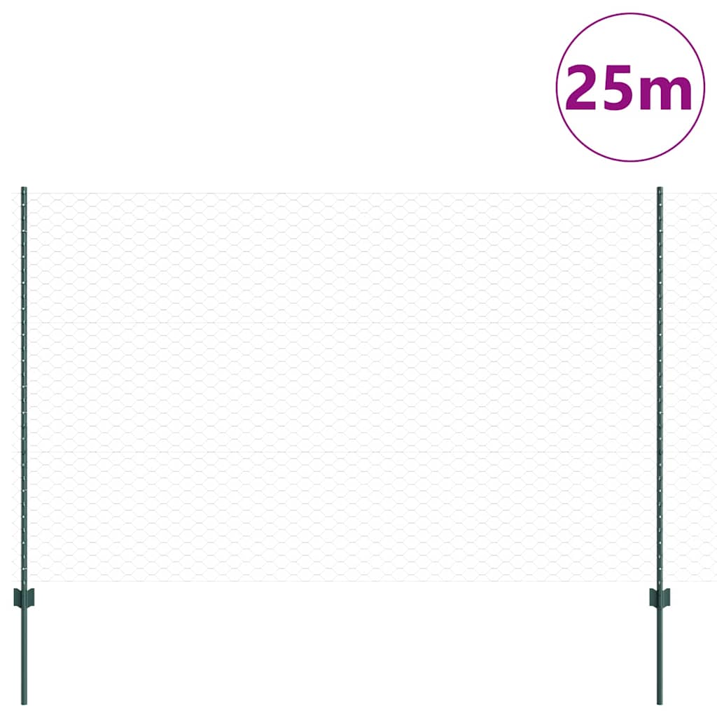 Hek Met Paal 1,5 X 25 M Staal Groen 25 x 1,5 m hek (5 cm breedte gaas)