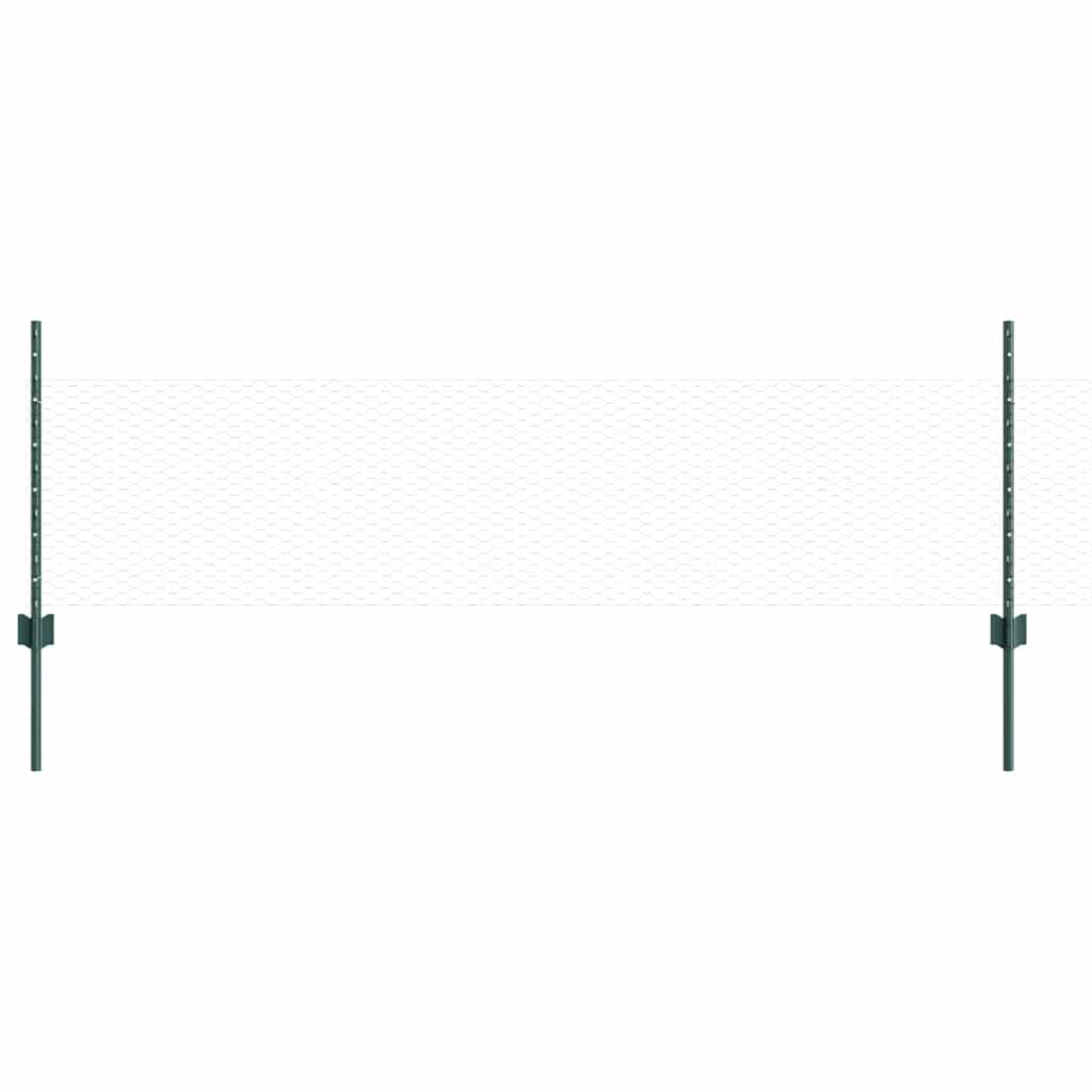 Hek Met Paal 0,5 X 50 M Staal En Pvc Groen 50 x 0,5 m hek (2,5 cm breed gaas)