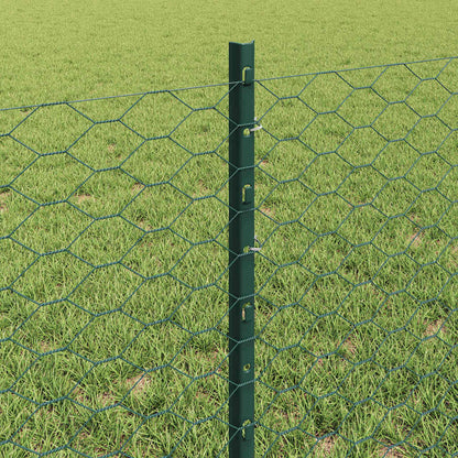 Hek met Paal Groen 0,6 x 50 m Staal en PVC