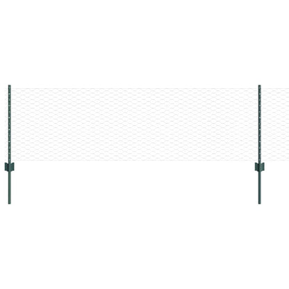 Hek met Paal Groen 0,6 x 50 m Staal en PVC