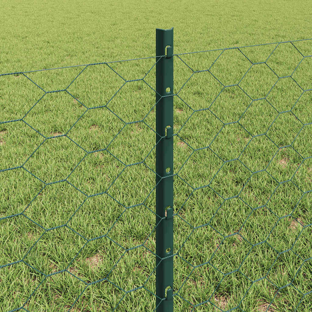 Hek met Paal Groen 0,6 x 50 m Staal en PVC