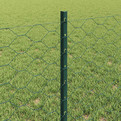 Hek met Paal Groen 0,6 x 50 m Staal en PVC