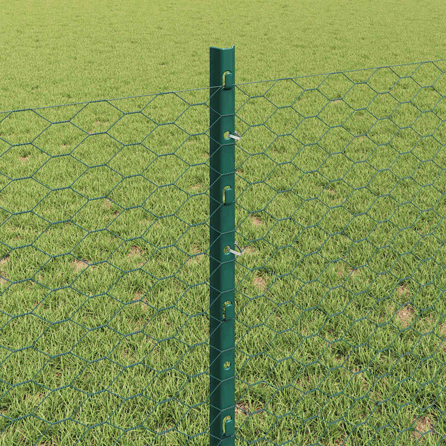 Hek Met Paal 0,8 X 50 M Staal En Pvc Groen 50 x 0,8 m hek (2,5 cm maaswijdte)