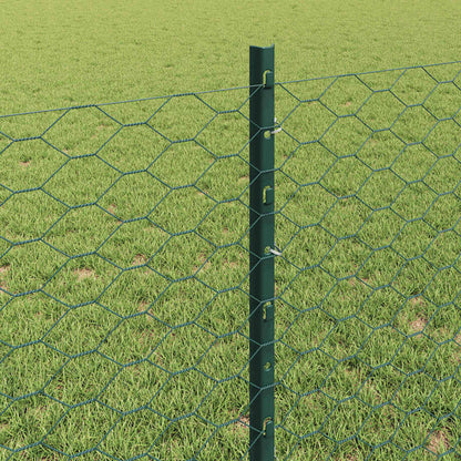 Hek Met Paal 0,8 X 50 M Staal En Pvc Groen 50 x 0,8 m hek (3,6 cm gaasbreedte)