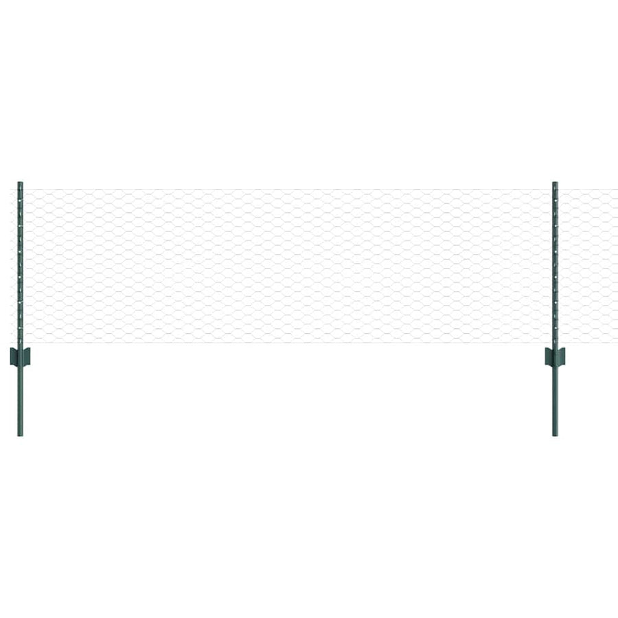 Hek met Paal Groen 0,6 x 100 m Staal en PVC