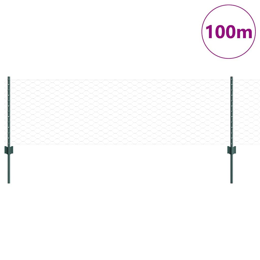 Hek met Paal Groen 0,6 x 100 m Staal en PVC