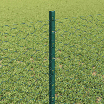 Hek Met Paal 0,8 X 100 M Staal En Pvc Groen 100 x 0,8 m hek (2,5 cm wandruimte)