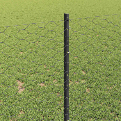 Hek met Paal Grijs 0,8 x 10 m Staal