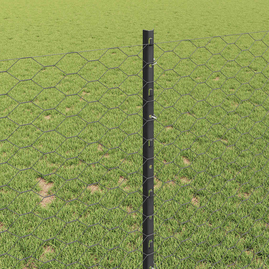 Hek met Paal Grijs 0,8 x 10 m Staal