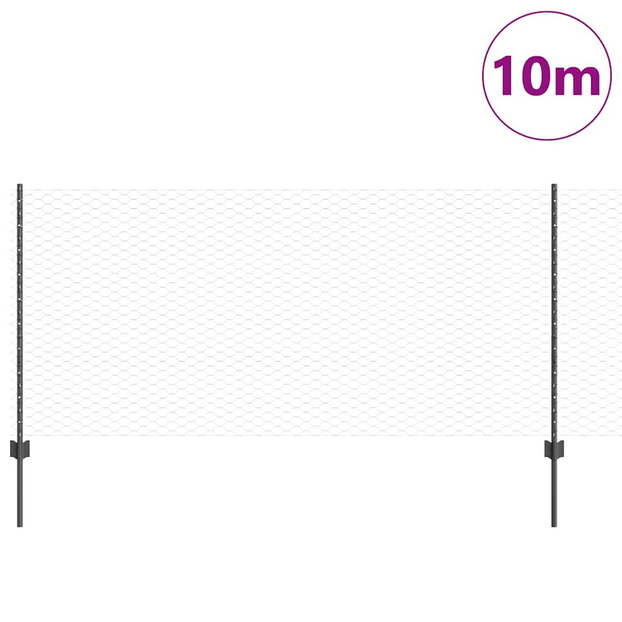 Hek met Paal Grijs 0,8 x 10 m Staal