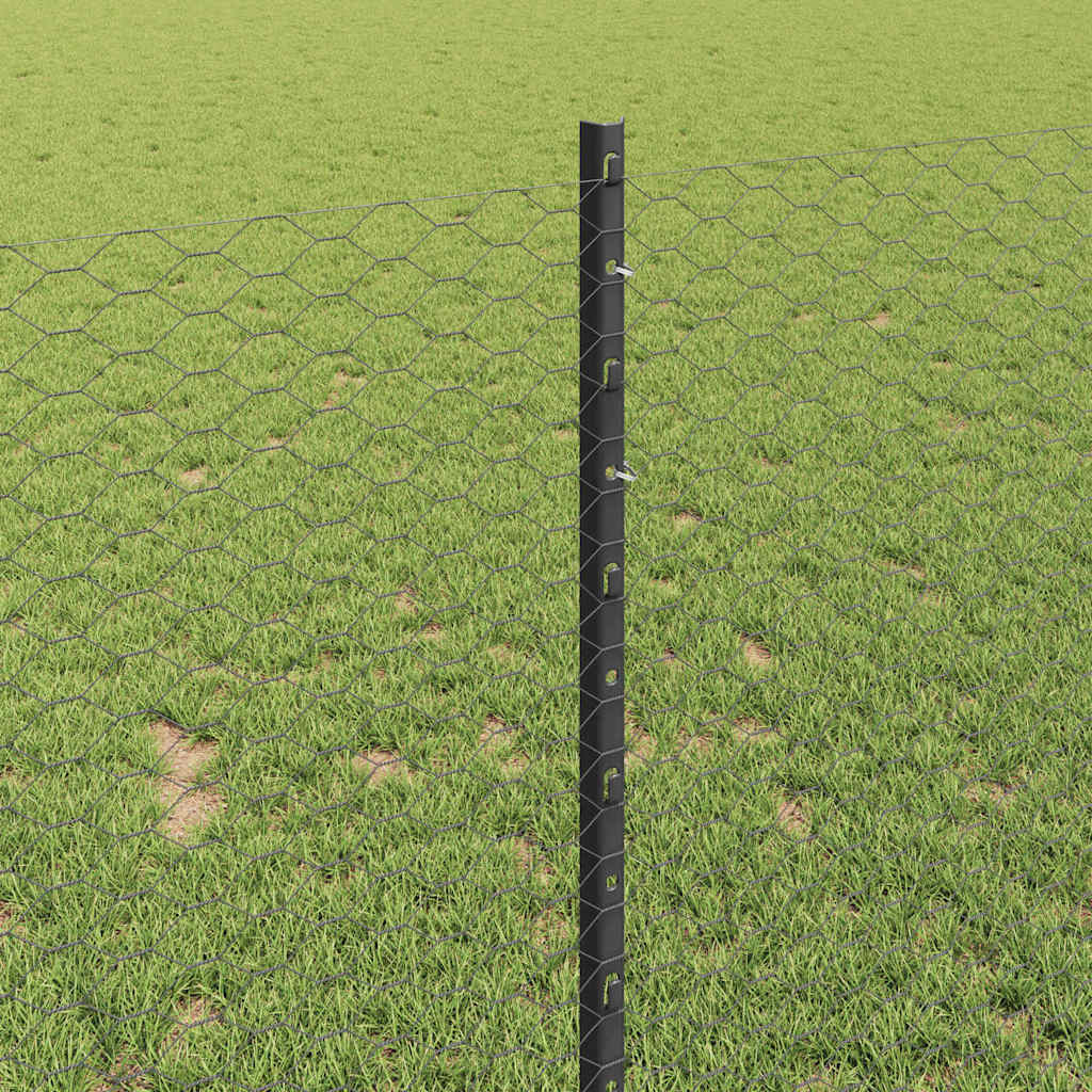 Hek met Paal Grijs 1 x 10 m Staal en PVC