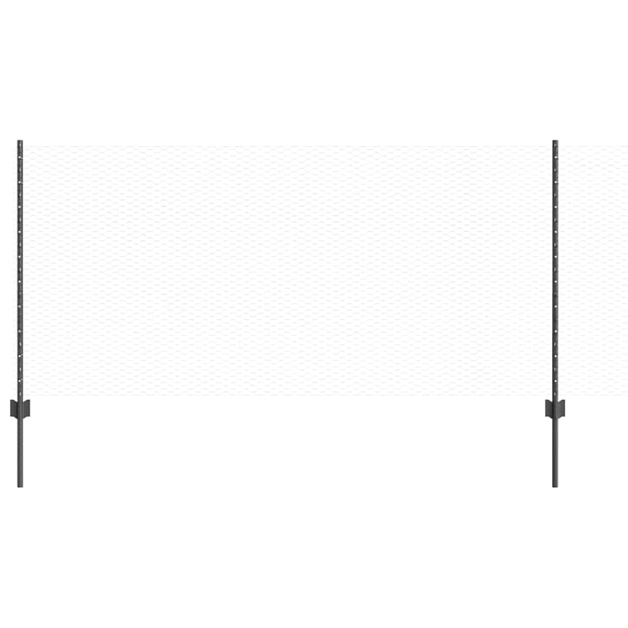 Hek met Paal Grijs 1 x 10 m Staal en PVC